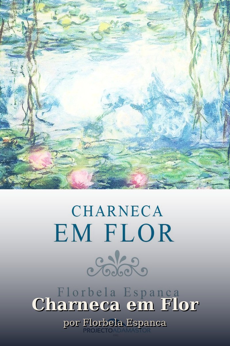 Capa do livro Charneca em Flor