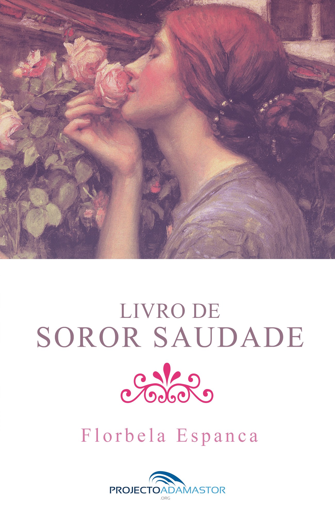 Capa do livro Livro de Soror Saudade