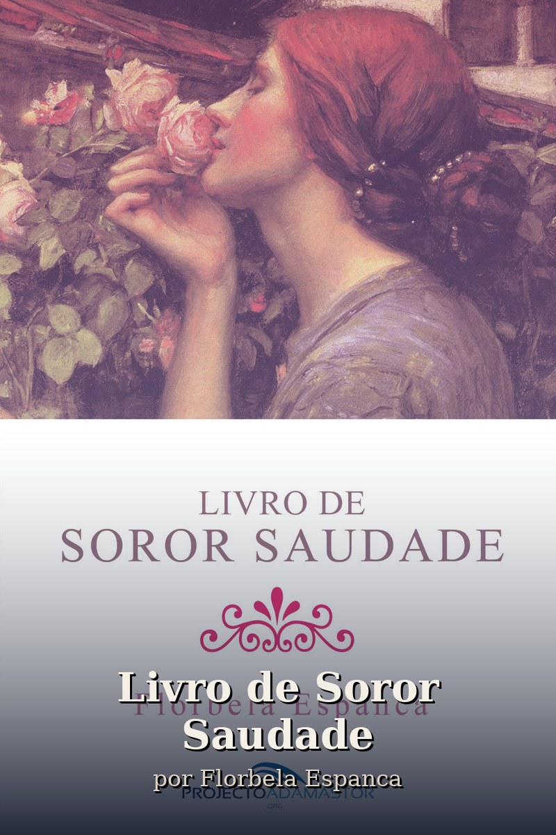 Capa do livro Livro de Soror Saudade
